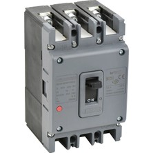 Günsan Elektrik Valta Kompakt Şalter 3X250A Sabit