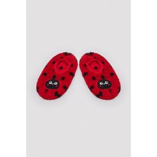 Penti Kız Çocuk Ladybird Patik