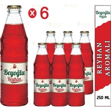 Beyoğlu Reyhan Aromalı Gazoz 6X250 ml