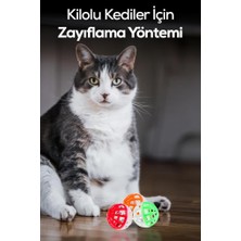 MUJGAN Zilli Kedi Oyun Topu