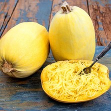 Zengarden Spagetti Kabak Tohumu Geleneksel Kışlık Winter Squash