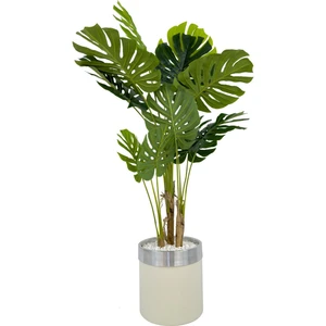 Monstera Ağacı 160CM Krem Gümüş Metal Saksıda