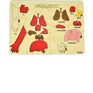 Capella Wood Works Capellawoodworks Organlarımız Bultak Puzzle Eğitici Oyuncak