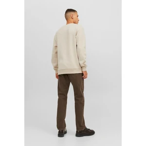 Jack & Jones Erkek Bradley Sweat