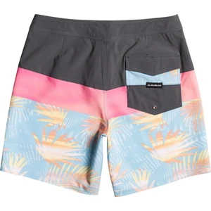 Quıksılver Surfsılk Panel 18 Boardshort Renkli