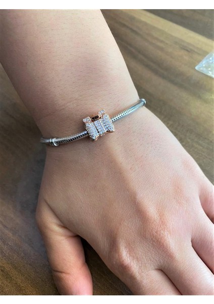 Bayan Hediye Paketi Model Gümüş Charm modelleri