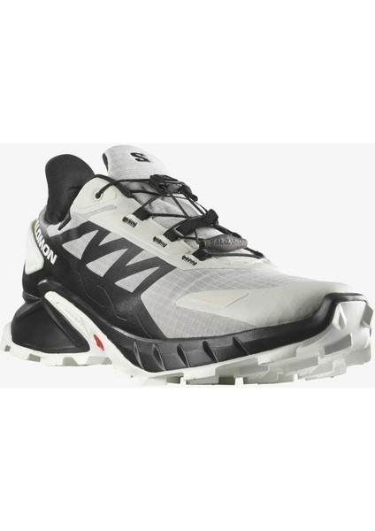 Supercross 4 Gtx Erkek Outdoor Ayakkabı Lunar Rock/black/white