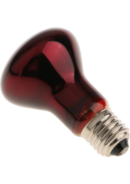 Sürüngen Ampul, Isı Basking Işığı Spot Lambası 40 50 60 75 Seçilebilir - 100w (Yurt Dışından)