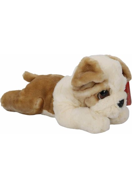 Bulldog Peluş Köpek 32 cm