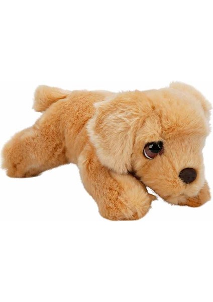 Labrador Peluş Köpek 25 cm