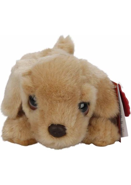 Labrador Peluş Köpek 25 cm fiyatları