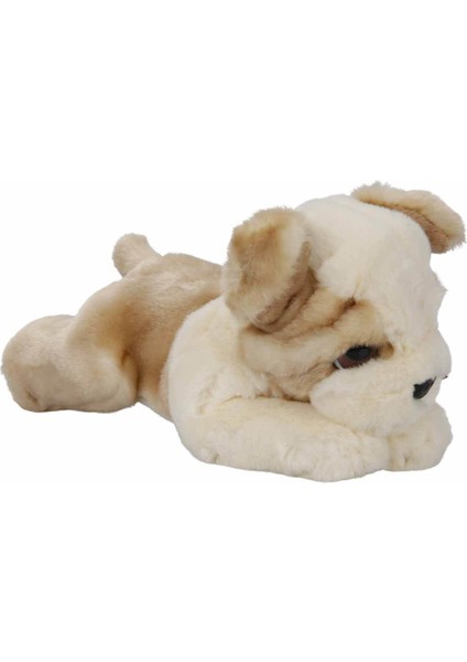 Peluş Köpek Bulldog 25 cm