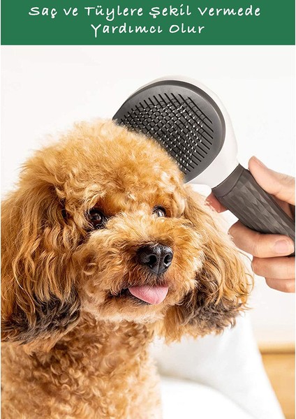 Pratik Kolay ve Otomatik Temizlenen Evcil Hayvan Fırçası Kedi Köpek Tüy Toplayıcı Masaj Yapan Tarak modelleri