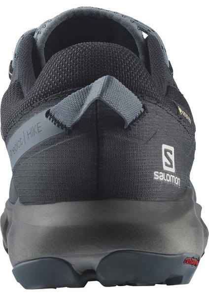 Predict Hike Gore-Tex Erkek Outdoor Ayakkabı Ebony/black/stormyweather fiyatları