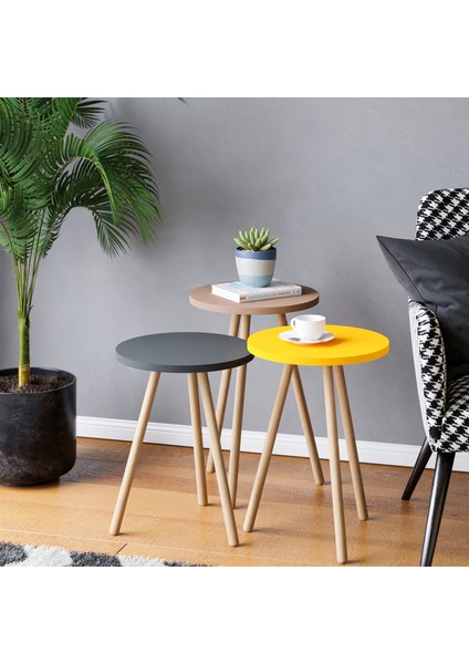 Renkli 3'lü Zigon Sehpa Ahşap Ayaklı Yuvarlak Pastel Tasarım - Cappuccino Gri Sarı
