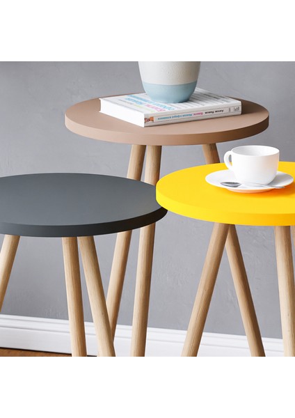 Renkli 3'lü Zigon Sehpa Ahşap Ayaklı Yuvarlak Pastel Tasarım - Cappuccino Gri Sarı