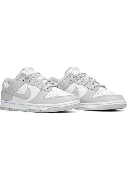 Dunk Low Erkek Günlük Ayakkabı DD1391 103