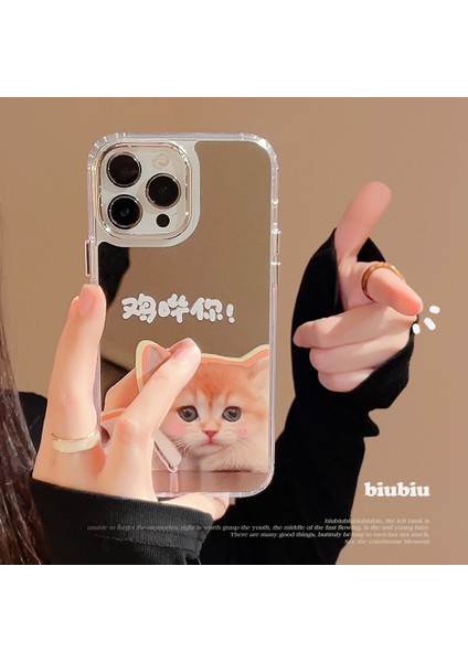 Iphone 14 Pro Mirror Shockproof Phone Case (Yurt Dışından)