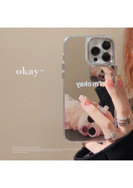 Iphone 12 Pro Max Mirror Shockproof Phone Case (Yurt Dışından)
