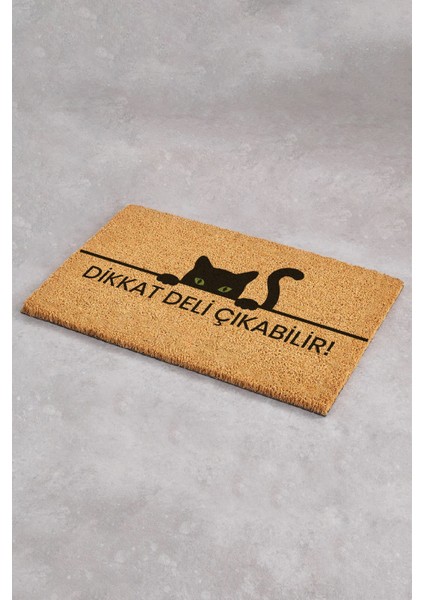 Dikkat Deli Çıkabilir Komik Paspas Kapı Önü Paspası