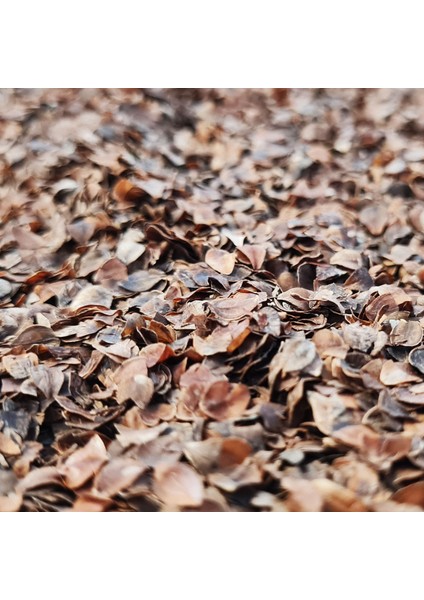 Yoga Minderi Karabuğday Kabuk Dolgulu Meditasyon Minderi Gri Yıldızlı modelleri