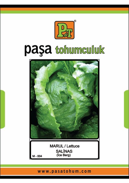 Paşa Tohumculuk Iceberg Salinas Marul 100 Gr. ISM100