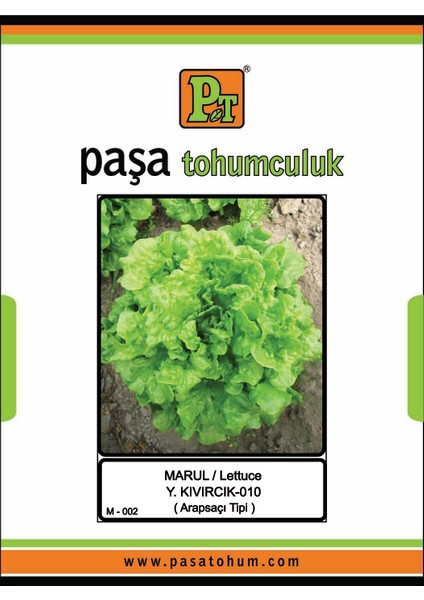 Yazlık KIVIRCIK-010 Marul Tohumu 10 Gr. 100 Paketli Kutu MYK10*100