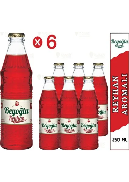 Reyhan Aromalı Gazoz 6X250 ml