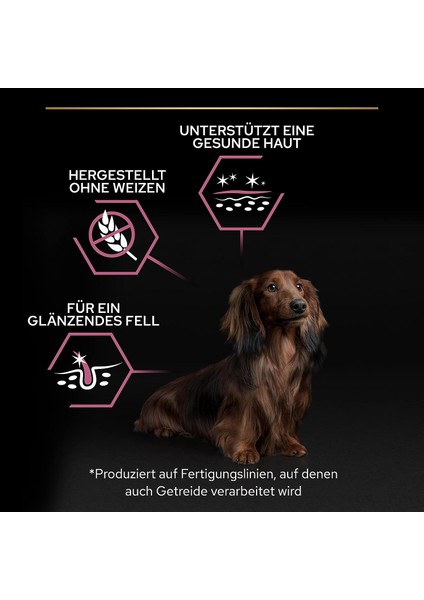 Small&mini Adult Somonlu Köpek Maması - 3 kg fırsatları