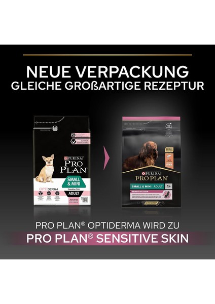 Adult Small Mini Sensitive Somonlu Yetişkin Köpek 3 kg