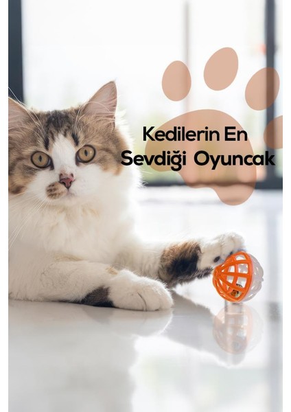 Zilli Kedi Oyun Topu