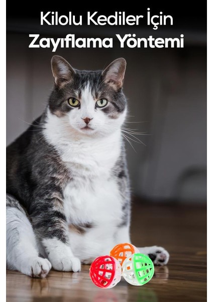 Zilli Kedi Oyun Topu