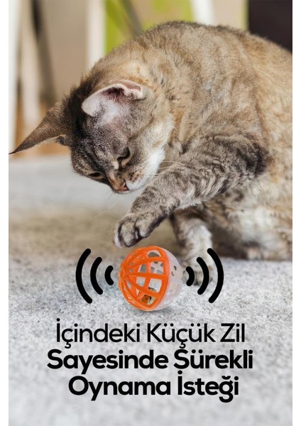 Zilli Kedi Oyun Topu