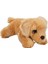 Labrador Peluş Köpek 25 cm 1