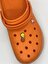 Sağlıkçı Shopping Basketbolcu Yavru Tweety Temalı Temalı Jibbitz Crocs Terlik Süsü 1