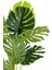 Monstera Ağacı 160CM Krem Gümüş Metal Saksıda 2