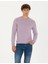 Pierre Cardin Erkek Pembe Slim Fit Basic Kazak 50270179-VR231 3