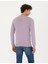 Pierre Cardin Erkek Pembe Slim Fit Basic Kazak 50270179-VR231 5