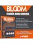 7. Sınıf 4'lü Bloom Tüm Dersler Set 32 Fasikül Soru Bankası (Kolaydan Zora Yeni Nesil Sorular) 3