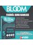 5. Sınıf Sosyal Bilgiler Bloom 32 Fasikül Soru Bankası (Kolaydan Zora Yeni Nesil Sorular) 2