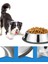 Evcil Hayvanlar Için Mama Kabı Kedi Köpek Mama ve Su Kabı 18CM Paslanmaz Çelik Metal Alt Taban 18CM Mama Kasesi 4