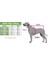 Pembe Kalpli Yumuşacık Krem Welsoft Kumaş Kedi ve Köpek Kıyafeti Elbisesi 4