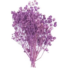 Tinky Winky Epoksi Süsleme Kurutulmuş Çiçek Cipso