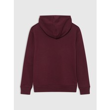 Gap Logo Kapüşonlu Sweatshirt