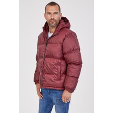 Kevin Erkek Kapşonlu Şişme Mont K220 Bordo