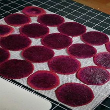 Gui xulian Gıda Kurutucu Için Kurutucu Levha, 10 Adet 29x37cm, Silikon Levhalar, Meyve Kurutucu Paspaslar, Silikon Kurutucu Levhalar (Yurt Dışından)
