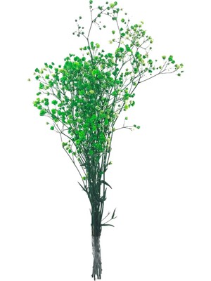 Tinky Winky Epoksi Süsleme Kurutulmuş Çiçek Cipso