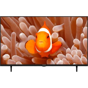 A43 D 695 B 43" 109 Ekran Uydu Alıcılı Full HD Smart LED TV