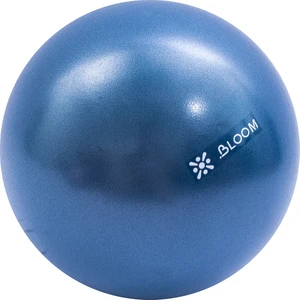 LB7000M 30 cm Mini Pilates Topu