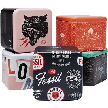 Fossil FFS4656 Erkek Kol Saati Çelik Kasa ve 10 ATM Su Fiyatı